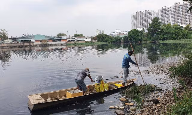 Cá chết đầy sông khu chung cư Ehome 3