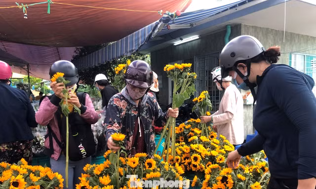 TPHCM: Chợ hoa Hồ Thị Kỷ 'xả hàng' kéo khách