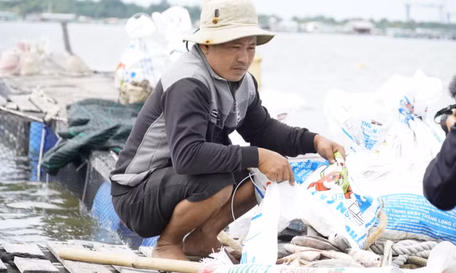Người dân thẫn thờ nhìn nhìn cá chết