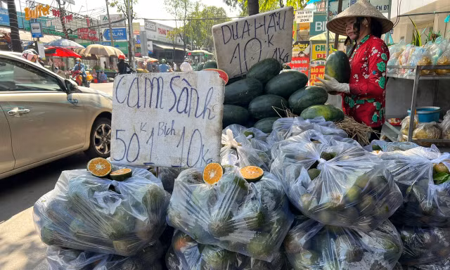 Lý do cam sành rớt giá thê thảm ở TPHCM, chỉ còn 4.000 – 5.000 đồng/kg