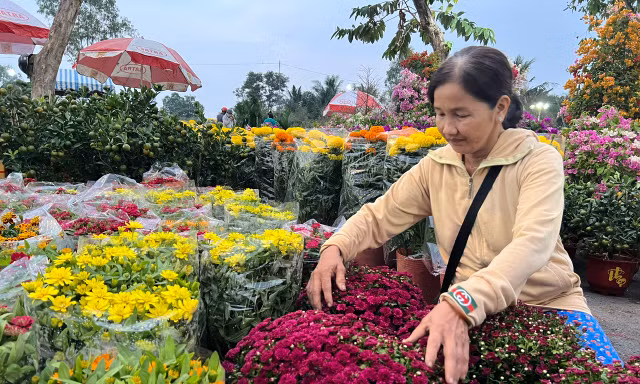 Chợ hoa Tết giá 'mềm' hút khách có thu nhập thấp