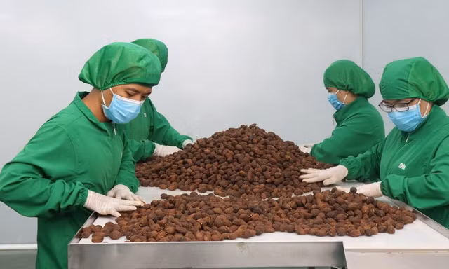 Kết thân với kiều bào hồi hương để bán hàng khắp thế giới