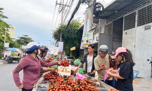 Vải thiều đại hạ giá tại TPHCM
