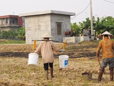 Kinh phí xây dựng lớn nhưng trạm bơm của dự án không phát huy hiệu quả, để có nước tưới người dân vẫn phải gánh