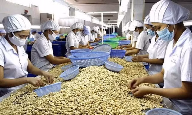 Doanh nghiệp có nguy cơ mất hàng trăm triệu USD nếu không giải quyết được vụ việc