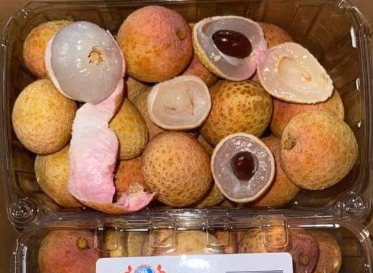 Vải thiều Việt Nam năm nay sẽ được bày bán trên toàn bộ 230 siêu thị của FairPrice