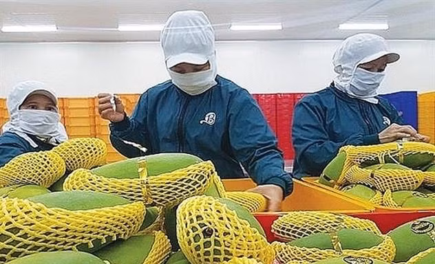 Bộ Công Thương đề nghị các địa phương 'bật luồng xanh’ với nông sản xuất khẩu