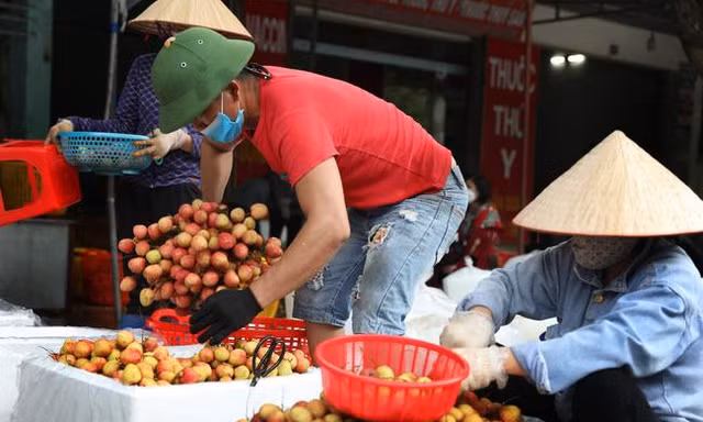 Bộ Công Thương yêu cầu tạo thuận lợi tối đa khi cấp C/O cho nông sản xuất khẩu