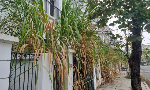 Khung cảnh hoang lạnh của hàng trăm biệt thự trên ‘đất vàng’ ở TP Hoà Bình