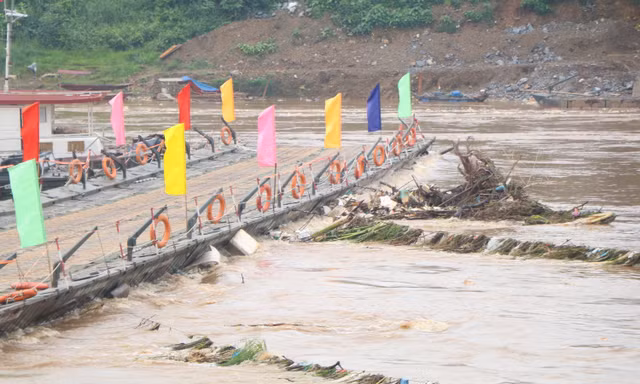 Nước sông Hồng dâng cao, cầu phao Phong Châu tạm dừng hoạt động