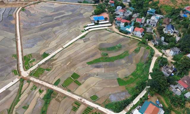Hình ảnh ruộng bậc thang ở Phú Thọ dốc thoai thoải, sáng đẹp tựa gương soi trước vụ cấy