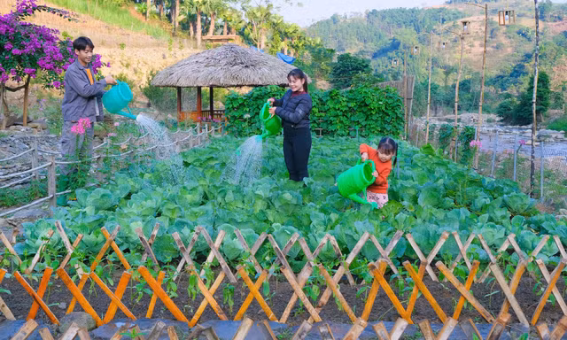 Trang trại đẹp như tranh giúp chàng trai Mường thu tiền tỉ mỗi năm