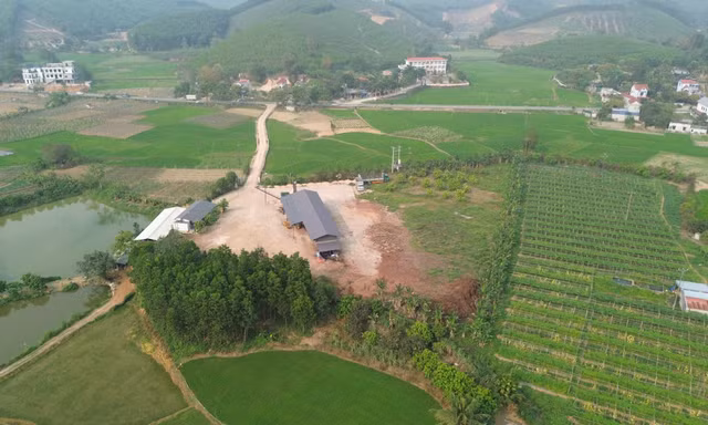 Xưởng chế biến gỗ khủng xây dựng trái phép trên đất nông nghiệp cách UBND xã 300m