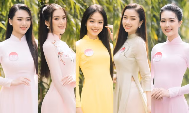 Hoa hậu Việt Nam 2022: Top 5 Người đẹp Nhân ái lộ diện, đều là những “người đẹp học giỏi”
