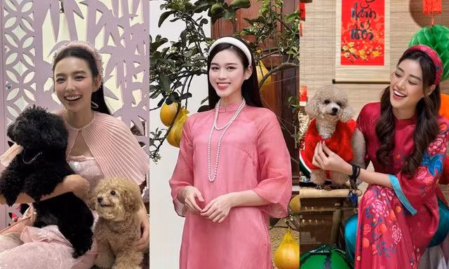 Đón Tết Giáp Thìn rực rỡ cùng các nàng hậu Việt, sắc màu nào được yêu thích nhất?