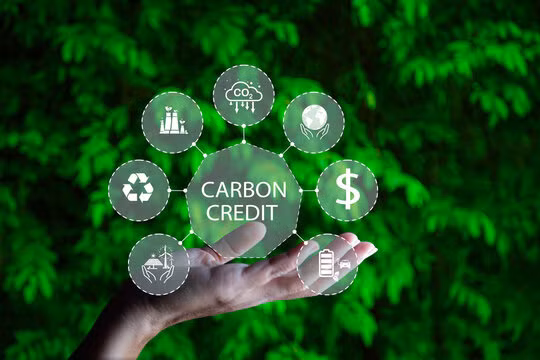 Bán tín chỉ carbon thu về hàng trăm triệu USD/năm, ai được hưởng? 