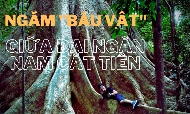 Ngắm 'báu vật' giữa đại ngàn Nam Cát Tiên