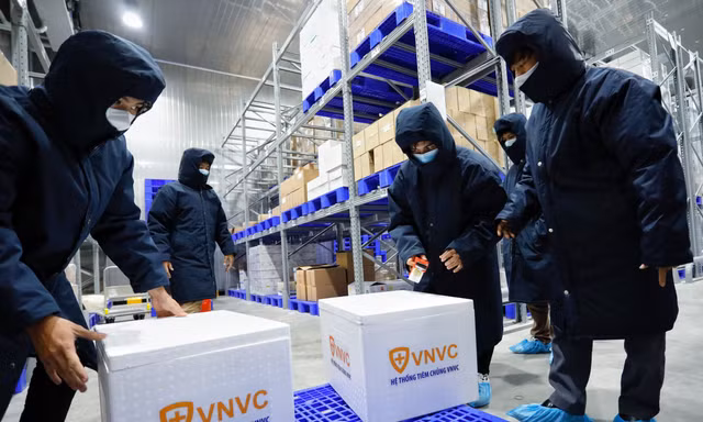 Vắc xin COVID-19 sau khi đưa vào các kiện nhỏ, sẽ được cho vào thùng xốp đưa ra sân bay vận chuyển ra Hà Nội- ảnh VNVC