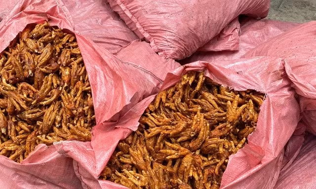 Tang vật vụ việc. 