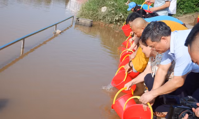 Thả cá trên sông Kỳ Cùng.