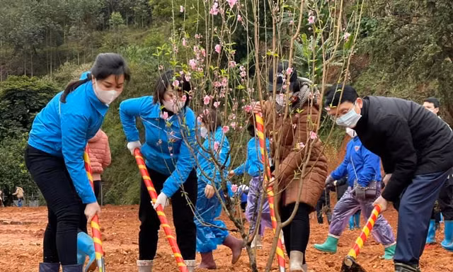 Tỉnh Đoàn Lạng Sơn và lãnh đạo sở, ngành địa phương trồng 600 cây đào, cây hồi tại xã Thanh Long, huyện Cao Lộc, Lạng Sơn -Ảnh: Duy Chiến 