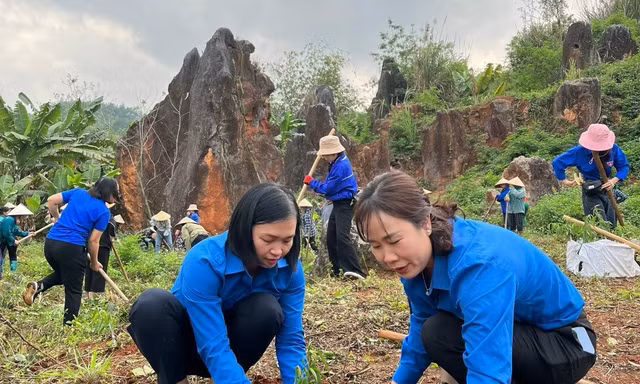 Tích cực trồng cây, gây rừng.