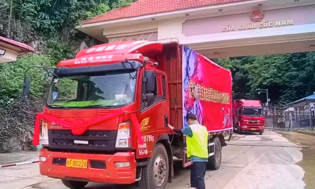 Hàng thủy hải sản chính thức xuất nhập khẩu. (ảnh: Duy Chiến)