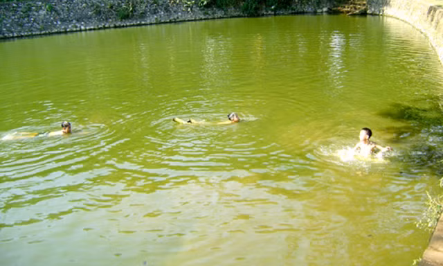 Ảnh minh hoạ: Internet