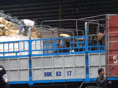 Lấy mẫu để kiểm tra dịch hại tại cửa khẩu Tân Thanh - Lạng Sơn