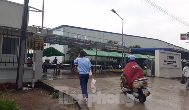 Công nhân Tenma Việt Nam vẫn làm việc bình thường ngày 26/5. Ảnh: Nguyễn Thắng