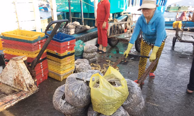 Dịch Covid-19 đang ảnh hưởng tới mọi mặt đời sống xã hội, kinh tế. Ảnh minh họa của: Tuấn Nguyễn
