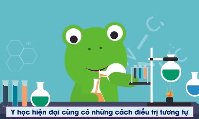 Bạn có biết 'ăn phân' lại có thể chữa bệnh rất hiệu quả