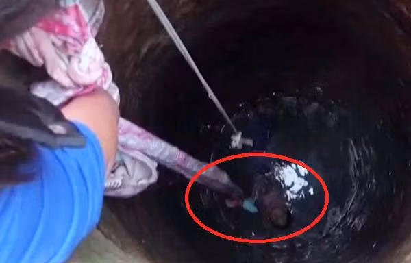 Video: Chị gái nhanh trí dùng ga trải giường cứu em ngã xuống giếng