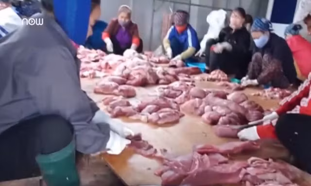 Tận thấy những kẻ vô lương 'hóa phép' lợn chết thành lợn gác bếp