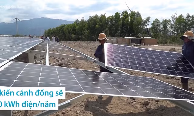 Cánh đồng điện mặt trời lớn nhất Việt Nam sắp hoạt động