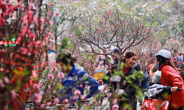 Thời tiết 3 ngày Tết Nguyên đán 2019 sẽ thế nào?