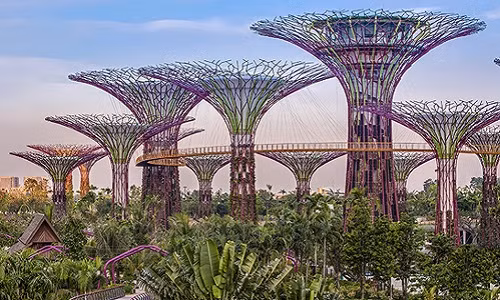 Singapore xây dựng ‘thành phố sinh thái’ thế nào? 