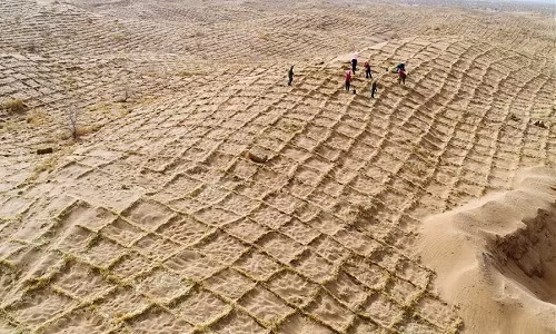 Rào chắn cát bằng gốc rạ giúp Trung Quốc đối phó sa mạc hóa