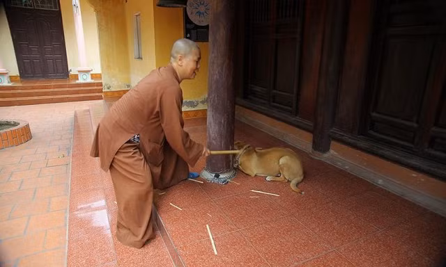 Video: Sư thầy chùa Sùng Quang lên tiếng về clip nghi đánh đập trẻ em