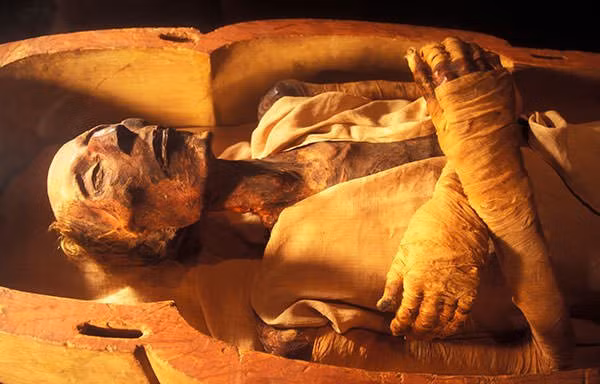 Là người đứng đầu bộ máy chính trị, pharaoh Ai Cập ban hành các điều luật, sở hữu mọi của cải trong nước, phát động các cuộc chiến tranh hay tiến hành cuộc chiến bảo vệ đất nước khi có giặc ngoại xâm... 