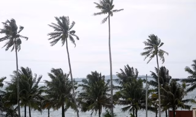 Một bức ảnh chụp khu vực cảng Ream từ năm 2019. (Ảnh: Reuters)