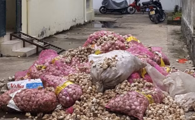 Số tỏi không rõ nguồn gốc được ngành chức năng tập kết lại 