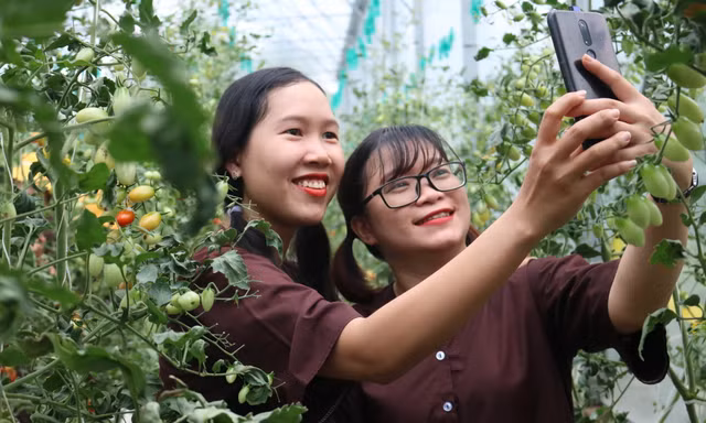 Khởi nghiệp trở thành khát vọng làm giàu trên quê hương Đồng Khởi