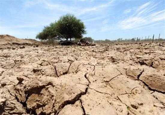 WB: El Nino có thể khiến giá lương thực thế giới tăng mạnh