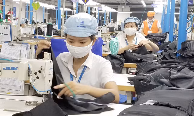 Hơn 1.300 tỷ đồng hỗ trợ tới tay người lao động mất việc làm. Ảnh minh họa.