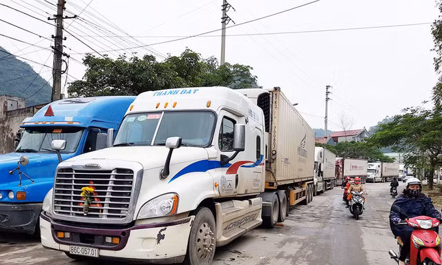 Để giữ khách trong bối cảnh thị trường cạnh tranh gay gắt, các doanh nghiệp vận tải không dám tăng giá cước dù giá xăng dầu tăng mạnh.