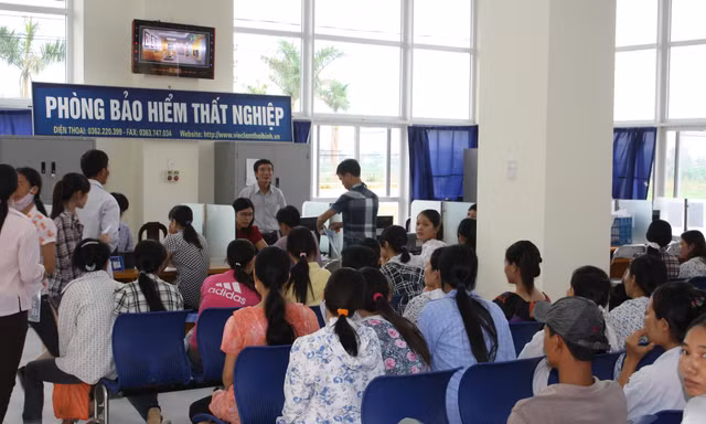 Ảnh minh hoạ: Internet
