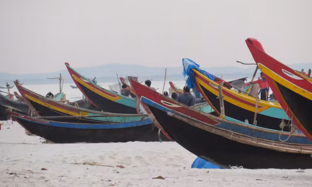 Cá chết, thuyền nằm bờ, ngư dân điêu đứng.