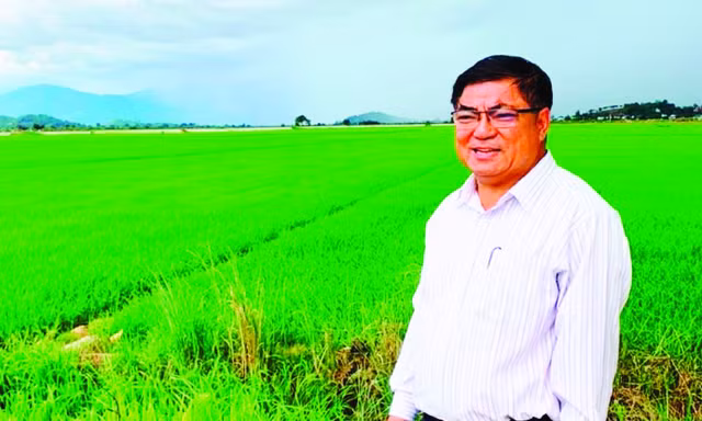 Ông Tuyên thăm đồng lúa mang thương hiệu của huyện Lắk