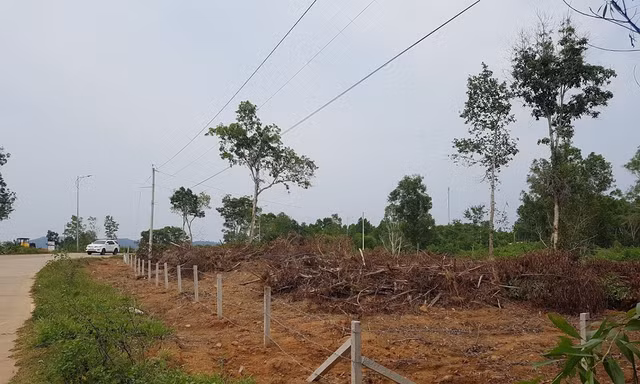 Nhiều diện tích đất nông nghiệp trên đảo Phú Quốc được chia nhỏ để phân lô chuyển nhượngẢnh: Nhật Huy 